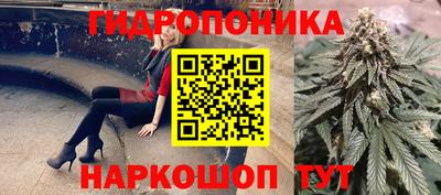 шишки Нальчик