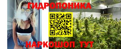 шишки Нальчик