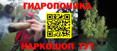 шишки Нальчик