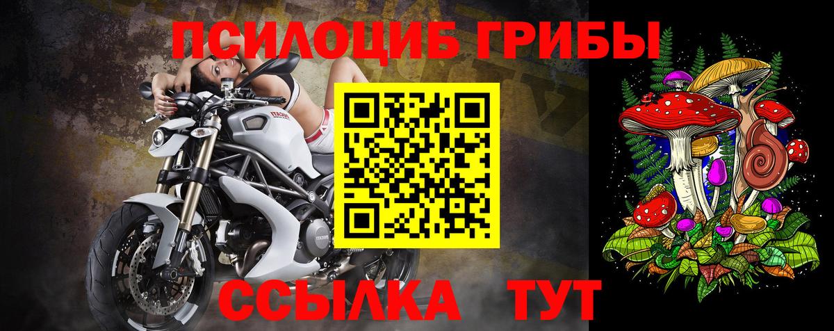 Псилоцибиновые грибы GOLDEN TEACHER  Вход с VPN  Унеча 